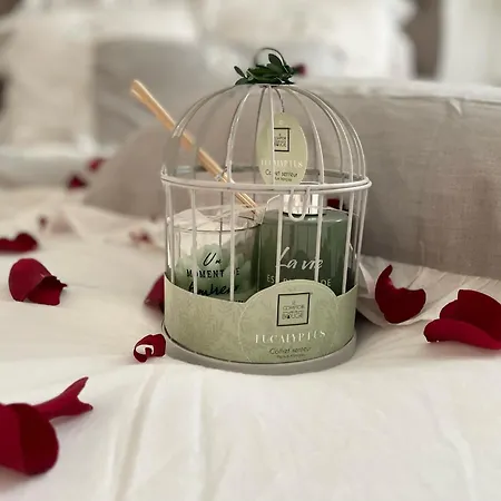 Apartment Elegance Et Romantisme Au Coeur De La Situee Sur La Place De Lices - Le Port Vannes